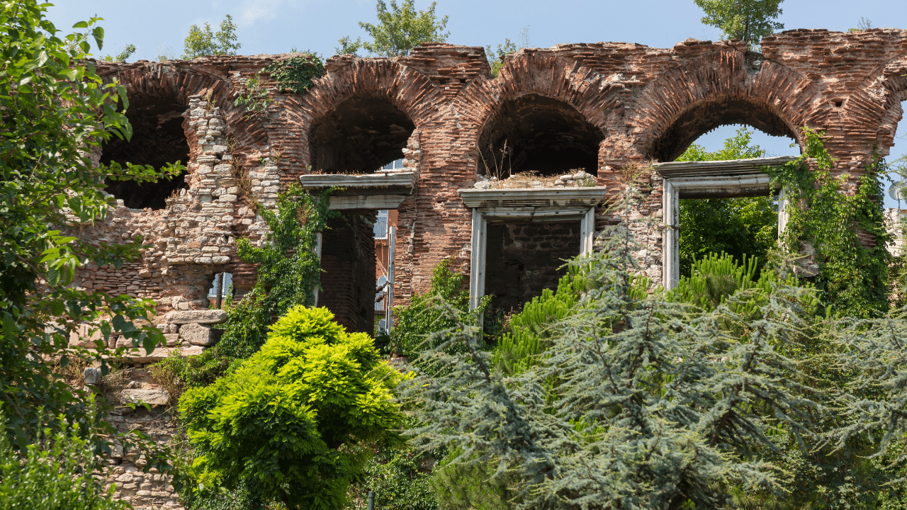 Le jardin des vestiges 2