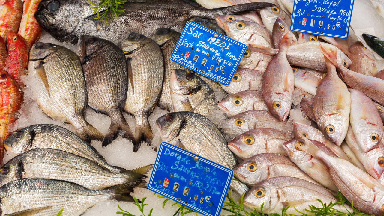 Produits de la mer