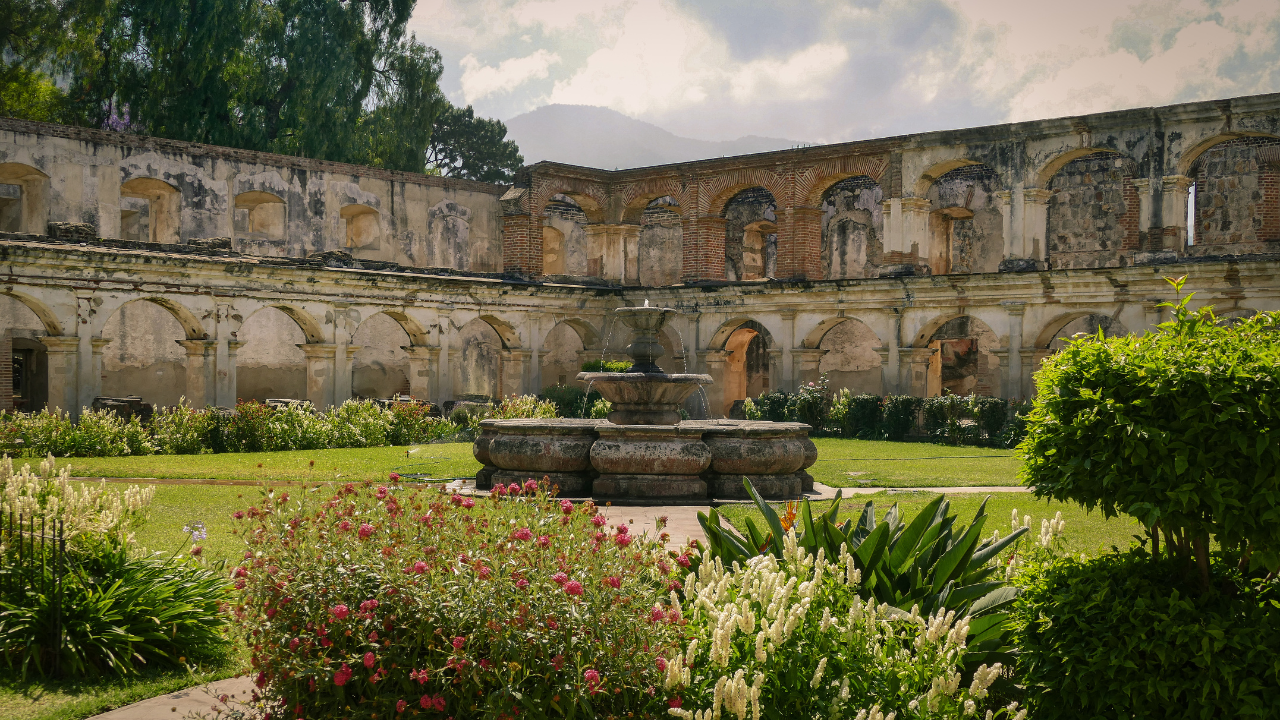 Le jardin des vestiges