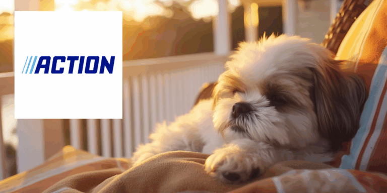 action chien