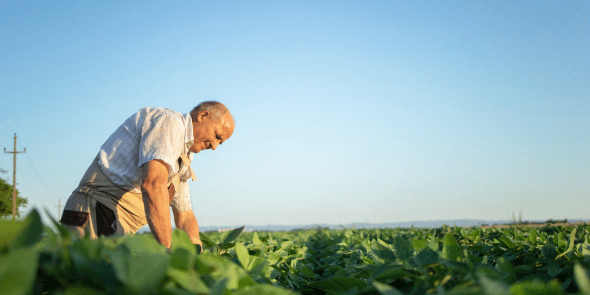 senior agriculture
