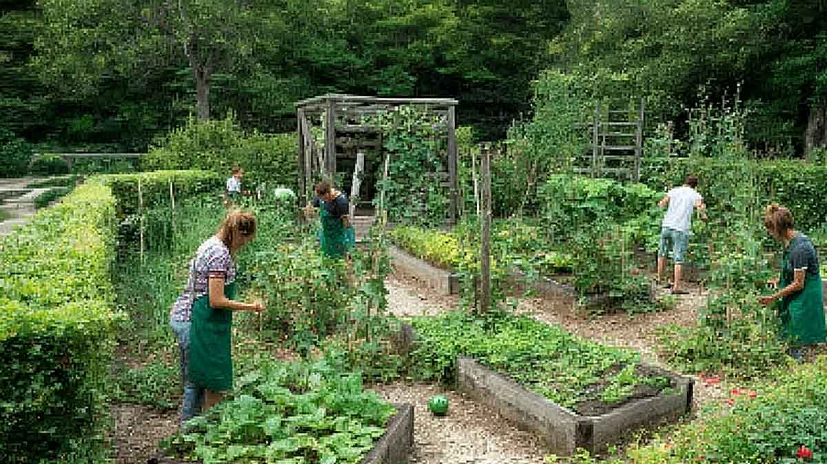 potager partagé paca