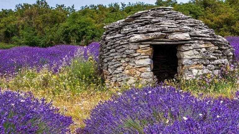 provence secrete