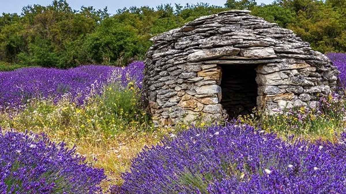 provence secrete