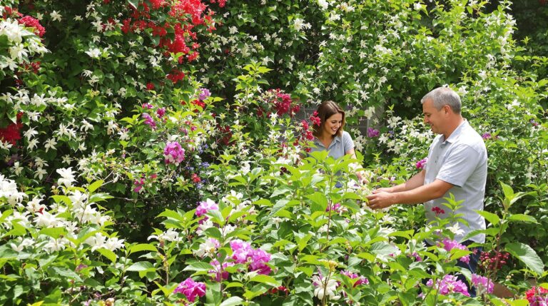 couple dans un jardin l’uxuriant