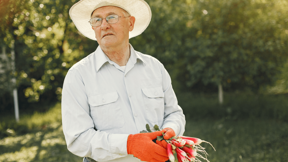 Une prime de 320 euros pour les retraités agricoles
