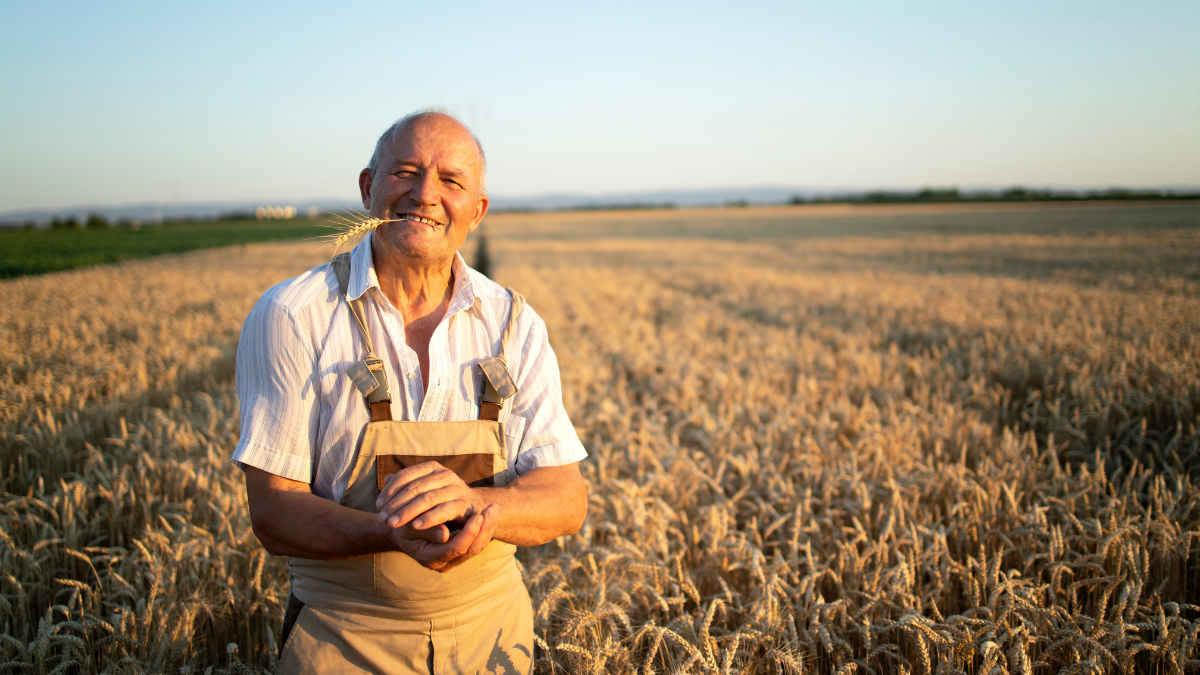 Après 40 ans de métier voici combien touche un agriculteur à 60 ans