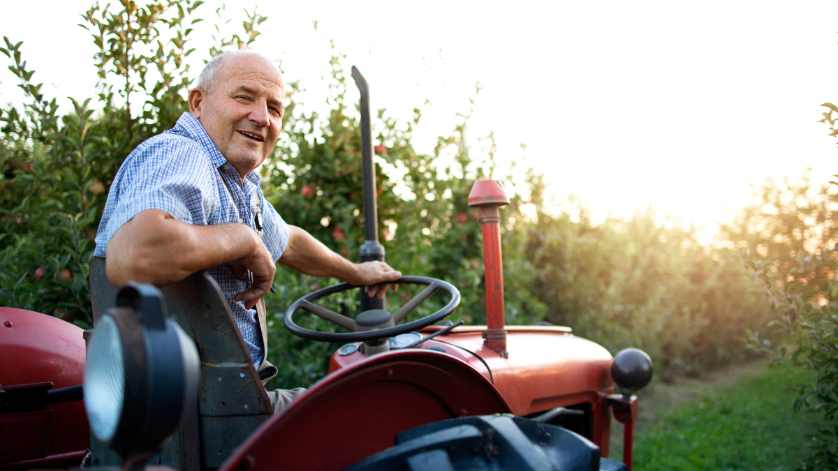 Après 40 ans de métier, voici combien touche un agriculteur à 60 ans