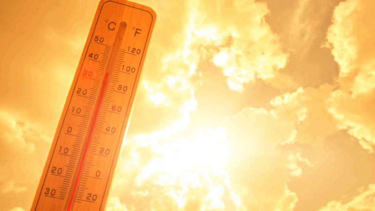 Canicule en France, un 21 juin sous le signe d'une chaleur inédite