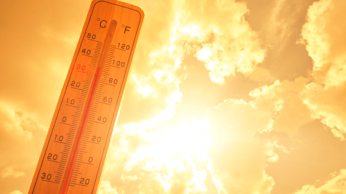Canicule en France, un 21 juin sous le signe d'une chaleur inédite