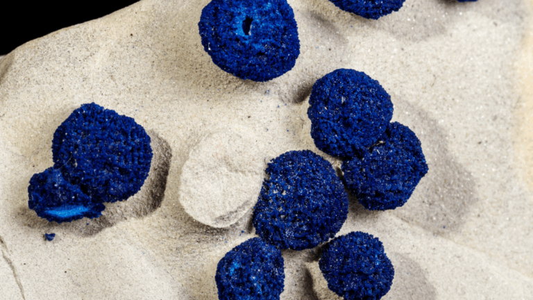 Cobalt, lettre inattendue comment une détection bouleverse les campagnes
