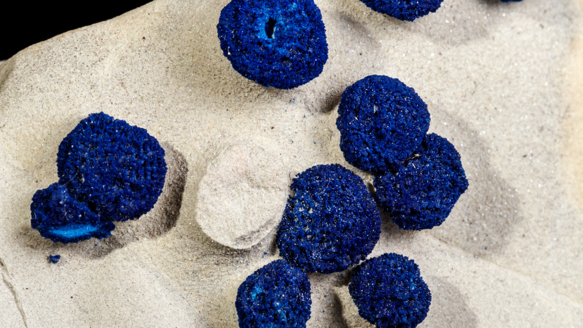 Cobalt, lettre inattendue comment une détection bouleverse les campagnes