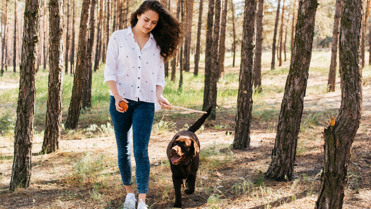 Comment un chien m’a donné envie de bouger au quotidien