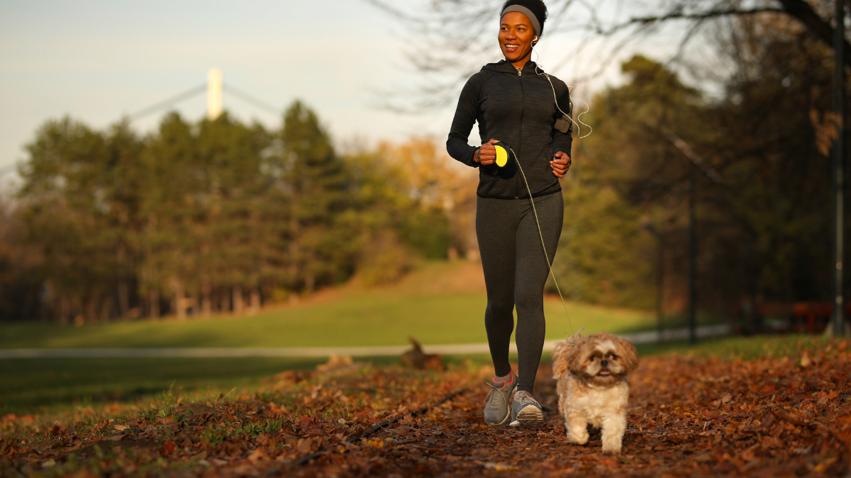 Les chiens effacent la paresse