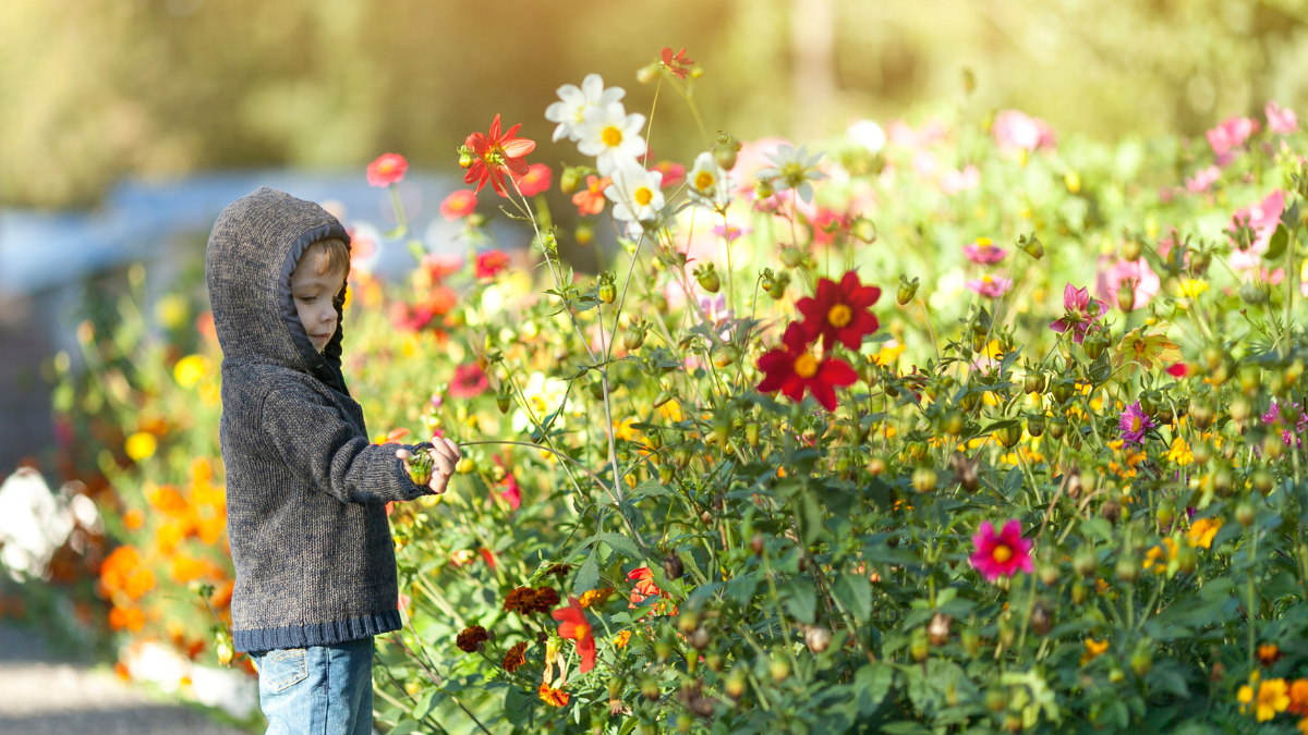 Moins de tonte plus de vie, révolutionnez votre jardin facilement