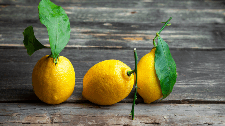 Citrons importés d’Espagne