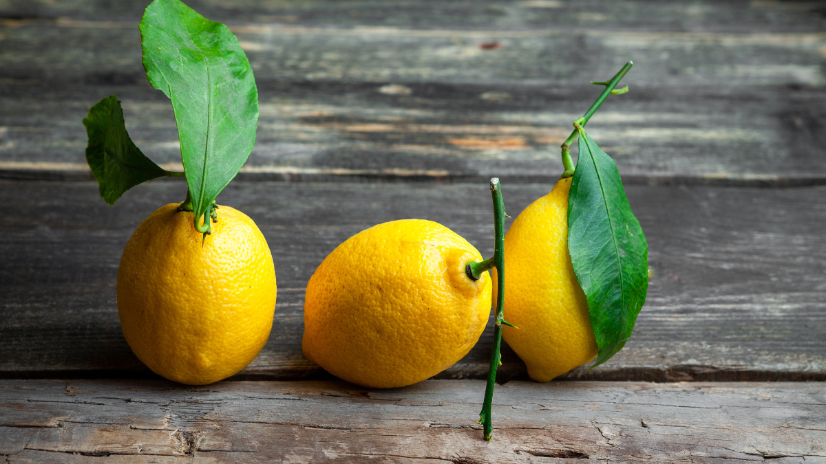 Citrons importés d’Espagne