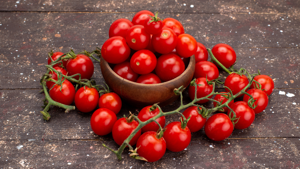 Des tomates cerises