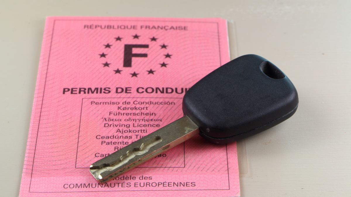 Le permis rose