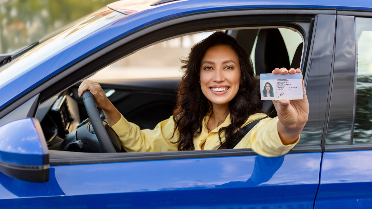 Permis de conduire