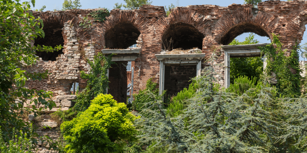 Le jardin des vestiges 2