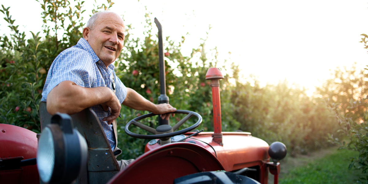 Après 40 ans de métier, voici combien touche un agriculteur à 60 ans