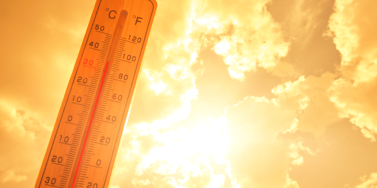 Canicule en France, un 21 juin sous le signe d'une chaleur inédite