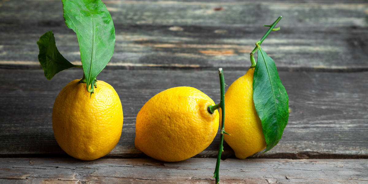 Citrons importés d’Espagne