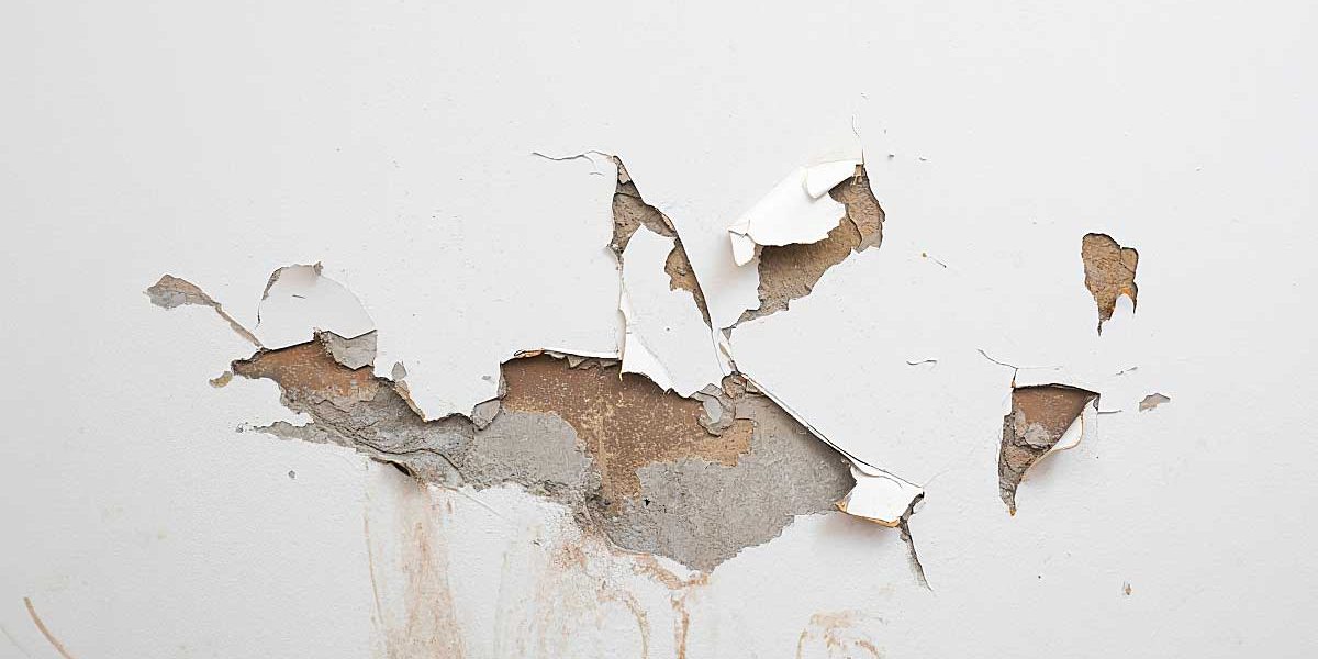 degradation logement