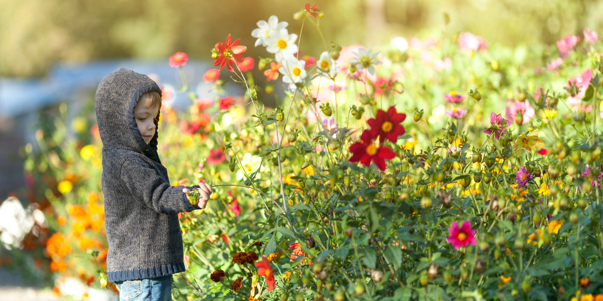 Moins de tonte plus de vie, révolutionnez votre jardin facilement