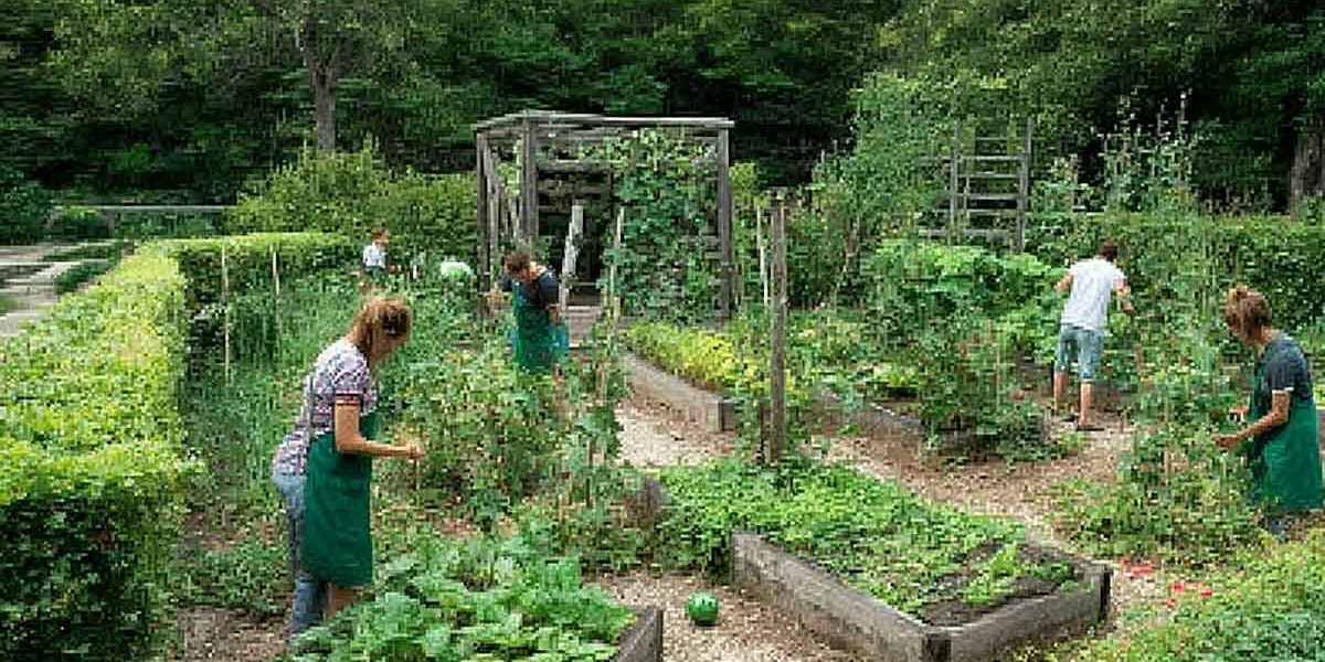 potager partagé paca
