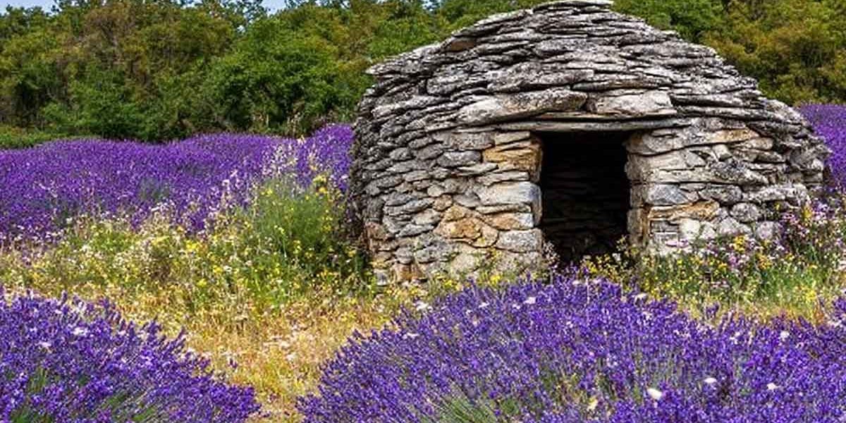 provence secrete