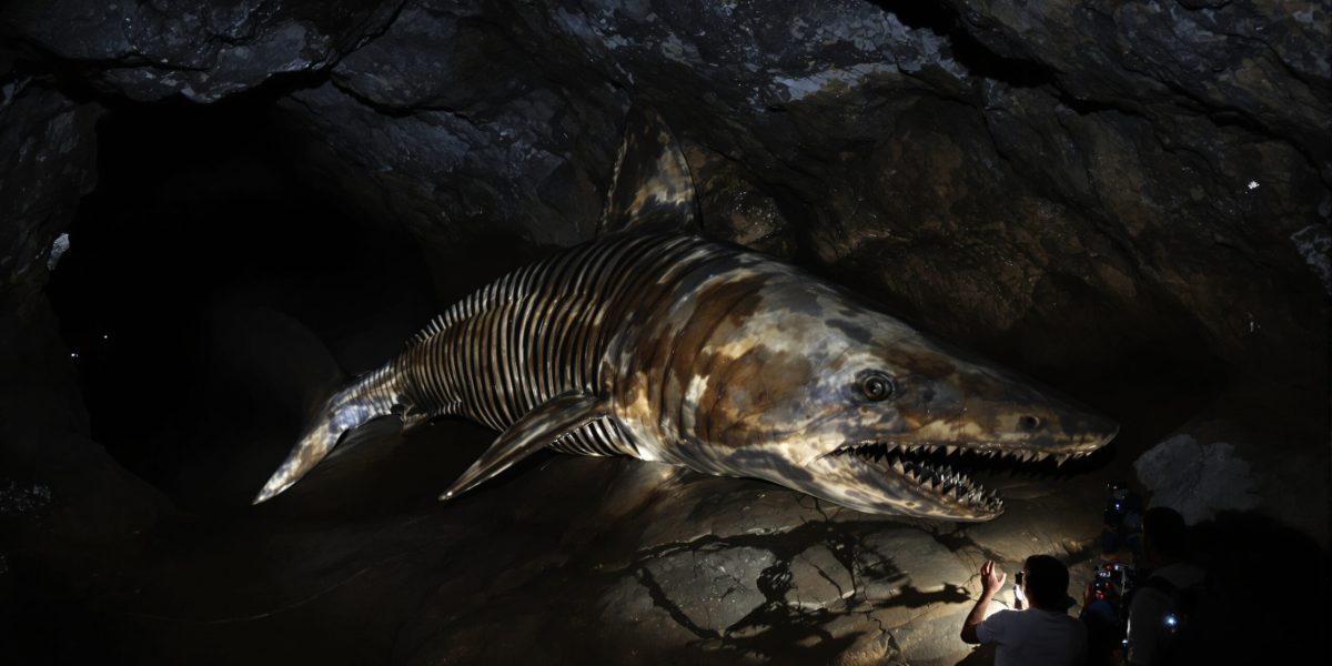 Un requin géant sous terre après 325 millions d’années
