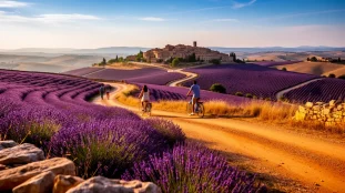 Paysage réaliste Provence lavande soleil 2026